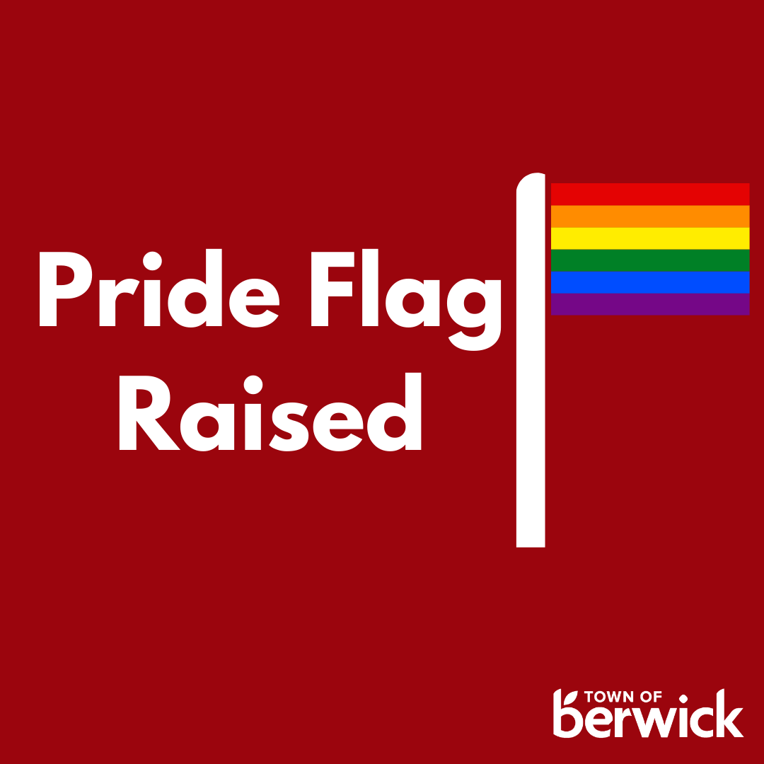 Flags at Half